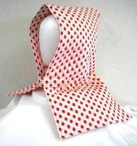 zcphГЁiqpjsNnɐԂ̃C`S@@w@ct@ۈ牀@wZ