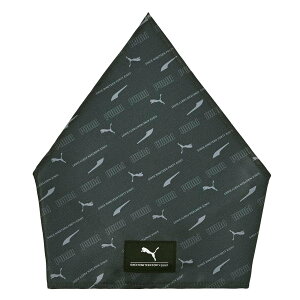 �O�p�� �q�� �S���iPUMA���j�@�q���O�p�� �c���p�O�p�� �ʉ� �ʊw ���� ���w �c�t�� �ۈ牀 ���w�Z �����|�b�v