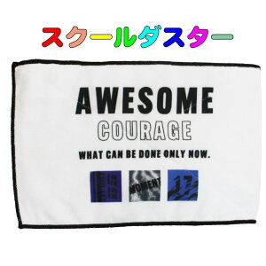 wZpGЁijAWESOME COURAGE XN[_X^[@ qp@LbY@GЁ@ @@w@ct@ۈ牀@wZ