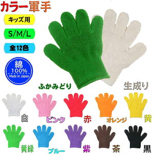 R@Y@100@qR LbYR J[RAq(S12F)R@ J[ @w@ct@ۈ牀@wZ