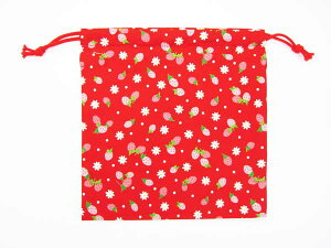 В y23cm×23cmz ԒnɃC`S В H   w ʉ ʊw