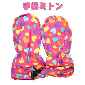 LbY  (sN×Jtn[g MTCY)@~g q qp  IW{{ Orange bon bonNX}X v[g  w