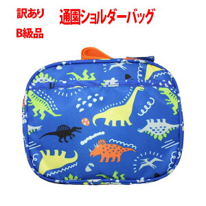 󂠂@Bi@ʉobOV_[@u[× cp V_[obO L_K[fobO ʉ  w Vw ۈ牀 vXN[