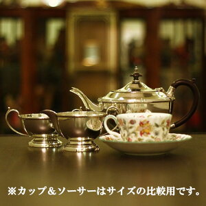 Walker & HalliEH[J[z[jƒp3_eB[|bgZbg@WH-293yAeB[NzyCMXzyVo[v[gz