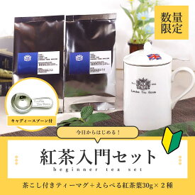 【スーパーSALE限定】 今日から始める紅茶入門セット(ティーマグ + 紅茶30g2種セット) 【3/11(水)以降順次発送】［ロンドンティールーム］送料無料 初心者 リーフティー 本格的 簡単 かんたん 手軽 オフィス 仕事 おしゃれ