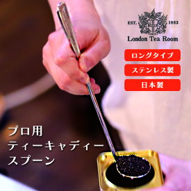 プロ用ティーキャディースプーン（ロングタイプ・ステンレス製）日本製 ティーメジャー 紅茶・茶葉用 メジャースプーン