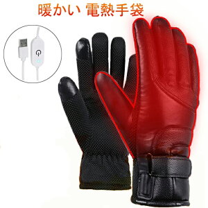 一部即納 電熱グローブ ヒーターグローブ スマホ対応 モバイル給電式 1ヶ月保証 電熱手袋 温度調節可 男女兼用 防寒手袋 加熱グローブ キャンプ 釣り ウインタースポーツ 自転車 秋冬用