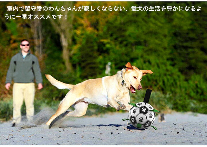 楽天市場】犬 おもちゃ ボール 15cm ポンプ付き 犬用サッカーボール 犬のおもちゃん 犬 知育玩具 耐久性 耐噛みトレーニングのおもちゃ 犬  おもちゃ インタラクティブ 中小型犬に適用 イン 運動不足 : modanic