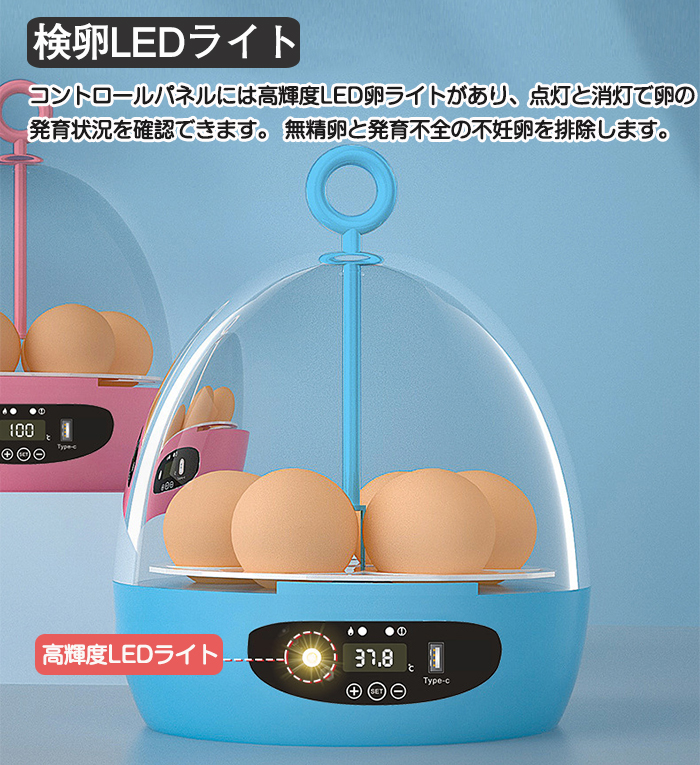 楽天市場】孵卵器 自動転卵 自動 孵化器 自動孵卵器 家庭用 孵卵器