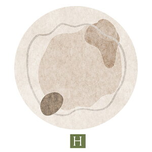 y2010OFFN[|zO 􂦂 OJ[ybg ~` O}bg  a60~200cm k ~ ی^ I[V[Y ی^ fXN}bg EHbVu ۂO ~^O ؍