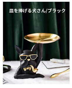 y2510OFFN[|zM錢 ֎[ CeA [ u   [ X^h  u [ WG[ ȃXy[X CeA ANZ