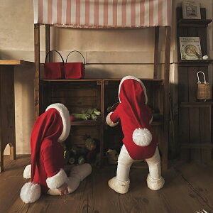 y15%OFFN[|127zNX}X xr[ T^ p[X qǂ j̎q ̎q  bh ӂӂ   ʔ t[ht  Xma qT^ RXv  T^R