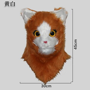 nEB L }XN RXv    Ԃ ˂ lR Aj}  A ʔ EP  V[ 킢 j[N I ڗ | hbL TvCY p[e