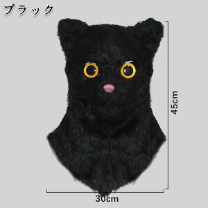 nEB L }XN RXv    Ԃ ˂ lR Aj}  A ʔ EP  V[ 킢 j[N I ڗ | hbL TvCY p[e