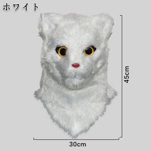 nEB L }XN RXv    Ԃ ˂ lR Aj}  A ʔ EP  V[ 킢 j[N I ڗ | hbL TvCY p[e