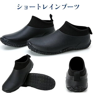 Cu[c CV[Y Y fB[X V[g x[V[g  Sh ₷ JC y _炩 Ȃ  j rWlX AEghA ނ  J  ~ 