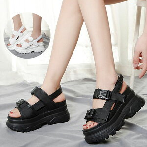 y110OFFN[|zX|[cT_  fB[X T_ 7cm RtH[g T_ r[`T_  h y fB[X C C xN Xj[J[ X|[c 