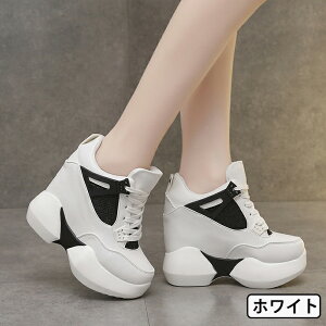  Xj[J[ fB[X nCJbg [XAbv q[ Cq[  EH[LOV[Y r q[Abv  킢 ₷ ɂȂ y ubN zCg 