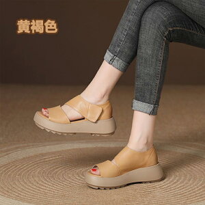 T_ fB[X Xj[J[T_ q[5cm tbg X|[cT_ gAbv ₷ Ȃ C L y b r  ʋC  lԍHw JWA V[Y