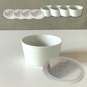 4Zbg Pi  pbN  }`{E S13color iWtj M  M M H T_{E v[g IV  ZĂ  k { Vv