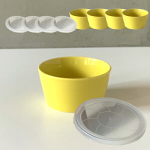 y11/5܂Ō20OFFN[|z 4Zbg Pi  pbN  }`{E S13color iWtj M  M M H T_{E v[g IV  Z