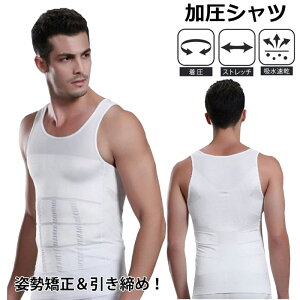 Vc ^Ngbv   Y Iׂ2F ␳ jp m[X[u X|[c Ci[ Vc  EFA I[V[Y p Lw   _CGbg [ 