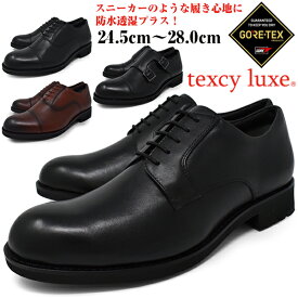 ビジネスシューズ 本革 メンズ【asics texcyluxe】 防水 蒸れない ゴアテックス 軽量 幅広 2E EE ラウンドトゥ テクシーリュクス 紐 ストレートチップ ダブルモンク アシックス商事 紳士靴 大きいサイズ【ビジネスシューズ 防水】 ニューイヤー 新年