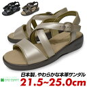 レディース サンダル オフィス オフィスサンダル 疲れにくい 黒 茶色 ゴールド おしゃれ ヒール 美脚 ブランド シューズ 本革 日本製 バックストラップ クロワッサン 21.5cm 22cm 22.5cm 23cm 23.5cm 24cm 24.5cm 25cm 父の日