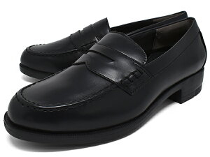 [t@[ fB[X ₷ _炩  ɂȂ ₷ AcureZ 3E L C Ȃ Cꂵɂ wC ʊw ʋ Vw w Ǝ 傫TCY TCY 22cm 