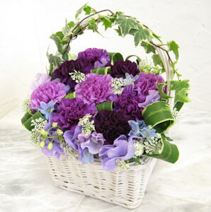 I ʂȂ3F[_Xg`lp̃oXPbg9`@ԁ@AW@a@j@LO@t[Mtg