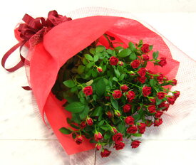 スプレー咲きの真っ赤なバラ10本を花束にして　カスミソウ入れて　ミニバラ　生花　花束　誕生日　お祝い　記念日　フラワーギフト　バラ
