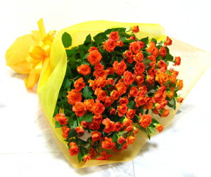 Xv[炫̃IWFo20{ԑɂā@~jo@ԁ@ԑ@a@j@LO@t[Mtg@o