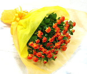 Xv[炫̃IWFo10{ԑɂā@~jo@ԁ@ԑ@a@j@LO@t[Mtg@o