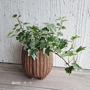 ANAe|bgEX^vii`Ȑ؂芔͗l̓jA4ނ1IщuVK[oC@v~@wf@JRGv@ϗtA@Mtg@CeA@ʋ