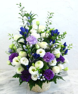 Îԁ`[_Xgā`@No,3@ԃAWg@@@@~@t[Mtg