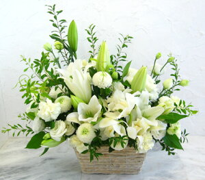 IˑR̔߂݂Ɂ`̂ԁ`@No,1@ԃAWg@@@@~@t[Mtg