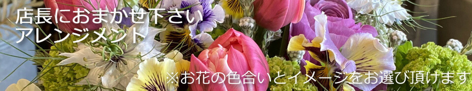 12時までのご注文で翌日お届け可能です