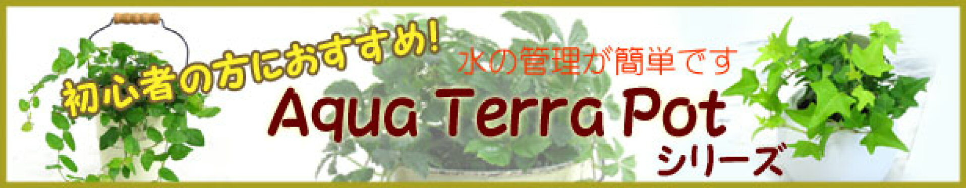アクアポット