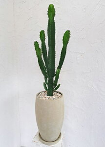 IT{eg_th @i`ȓɓā@[tHrA@Mtg@CeA@j@A