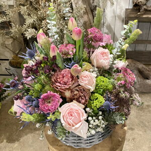 Xɂ܂ AWg12,500~iōEj@؂ȐԃAWg@t[AWg@a@j@LO@t[Mtg