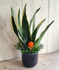 I}tAW@NŌj@AW@NzW@@@ԁ@ԁ@N