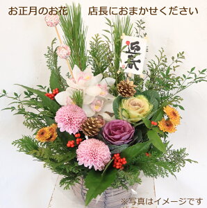 IXɂ܂}t̂ԃAWg@6600~@AW@NzW@@@ԁ@ԁ@N