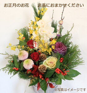 IXɂ܂}t̂ԃAWg@8800~@AW@NzW@@@ԁ@