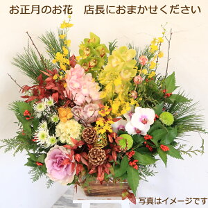 IXɂ܂}t̂ԃAWg@17000~@AW@NzW@@@ԁ@