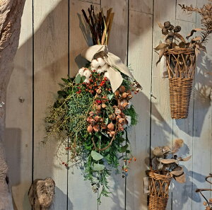 Ԍ121`15܂ł͂w@Xfmas XbO@{@NX}X@Ǌ|@ԁ@hCt[@ԑ@ikCEknEꌧ͔zsj