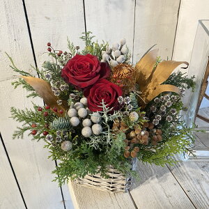 Ԍ121`15܂ł͂w@Xfmas AW@ԃo@NX}X@AWg@ԁ@hCt[@ikCEknEꌧ͔zsj