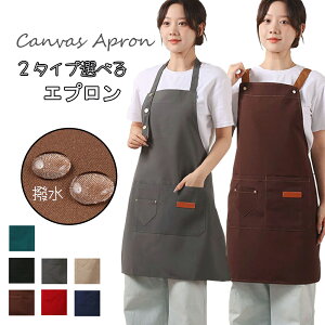 y1500~ȏ㑗zGv ͂f I[_[Ch\  ۈm 킢 JtFGv fB[X Y  Ǝ Vv l y   JtFGv 