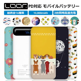 LOOF PD急速充電対応 10000mAh 大容量 薄型 モバイルバッテリー 最大出力22.5W 3台同時充電可能 USB C Type C 入力 柄 急速充電対応 PD対応 スマホ充電器 USBポート かわいい 予備 携帯バッテリー iPhone Android おしゃれ