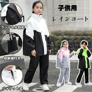 yҏ300~OffN[|zCR[g LbY ㉺ CEFA Zp[g qǂ Zp[g̎q j̎q w [obOthZΉ hh ʉʊw