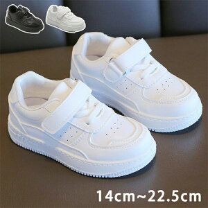 yҏ300~OffN[|z_XV[Y X|[c C  Xj[J[ LbY JWA V[Y q Cxg K n jp ^C i w ʉ ʊw y  